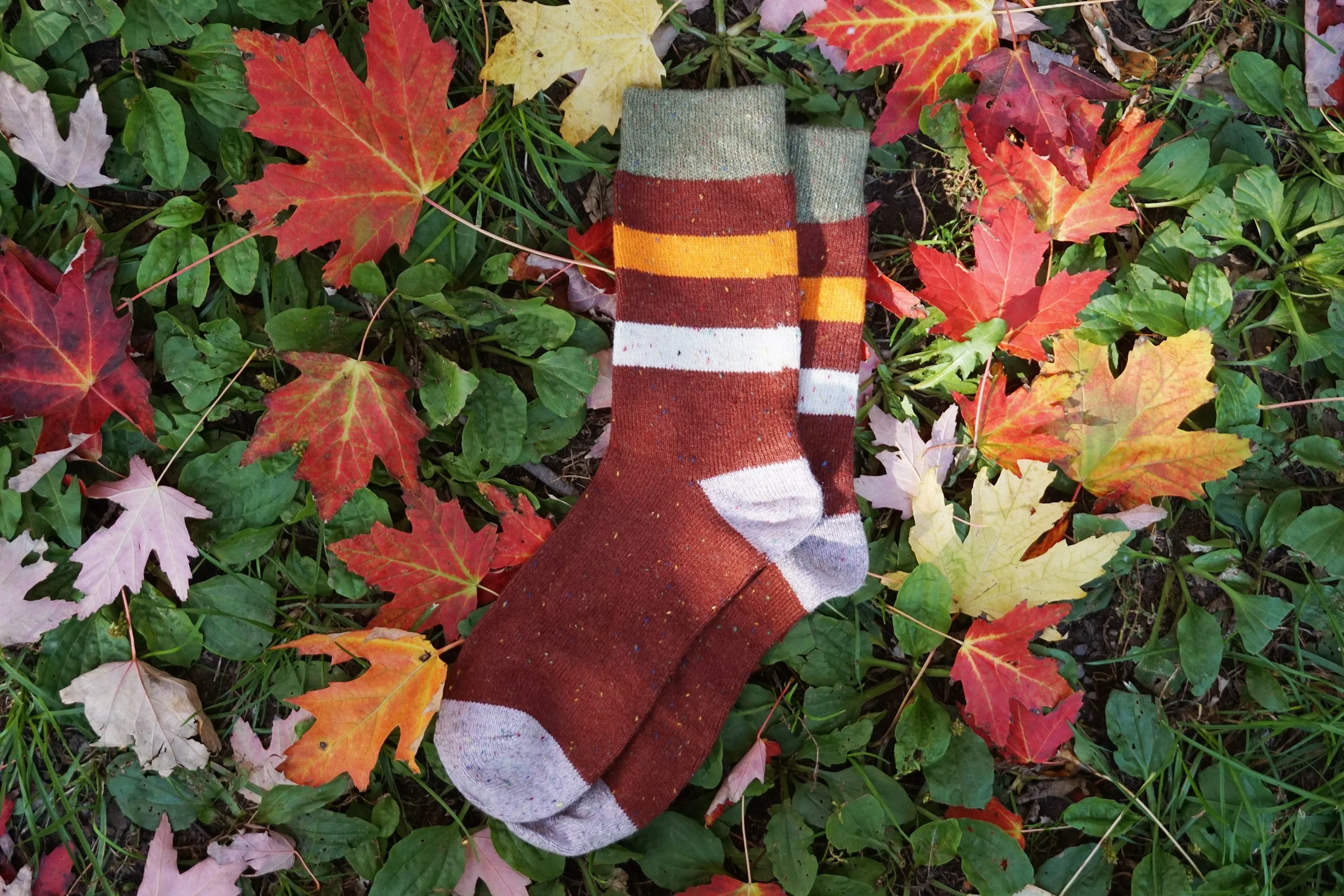 Best Seller  | Wool Socks | Red Stripes