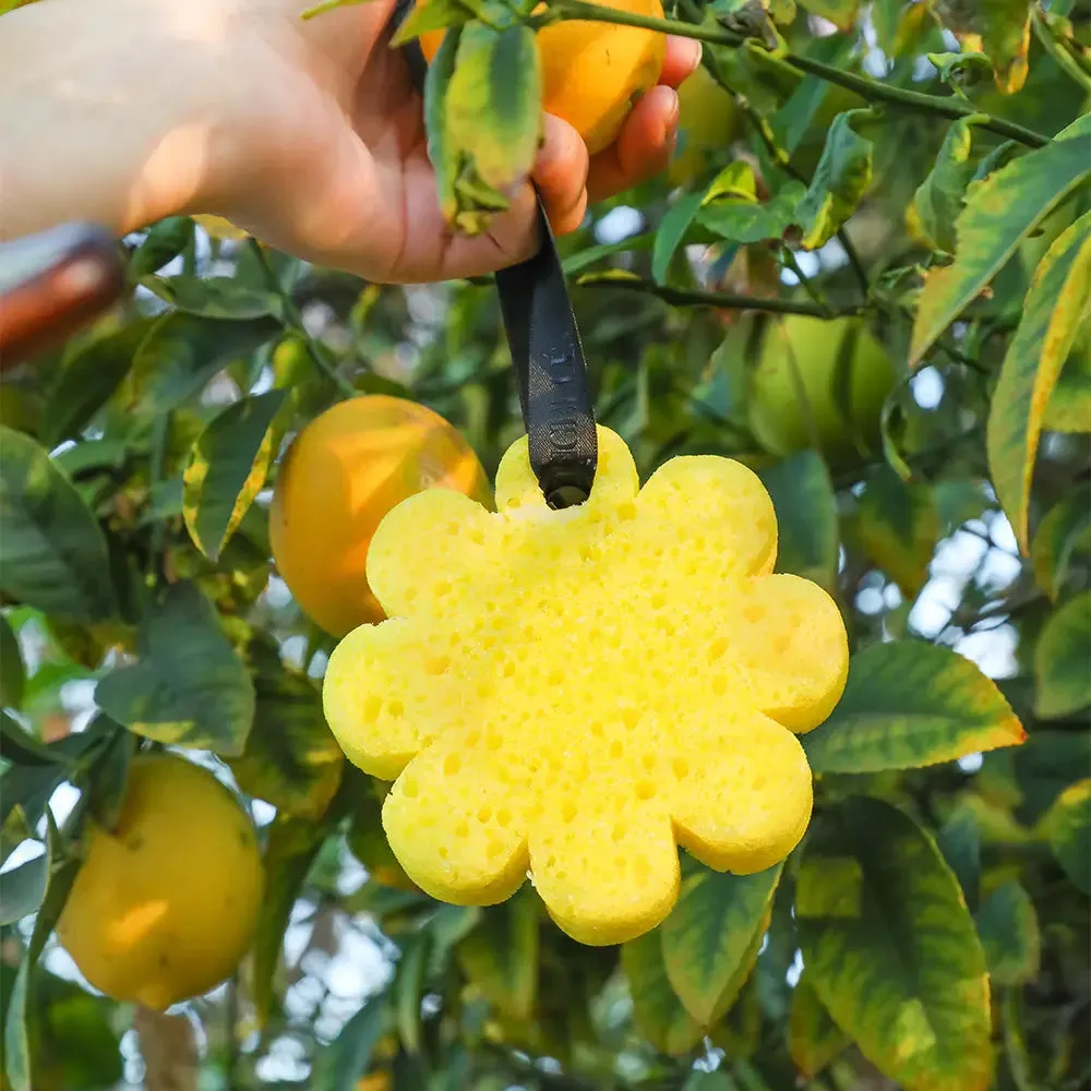 'Papaya Yuzu' Wild Flower Body Wash Buffer